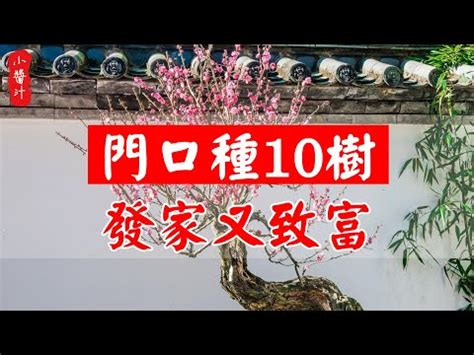 家門口種扁柏|大門風水有講究，兩側放什麼植物好？大門口放什麼花能旺財？